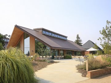 PIGMENTO Bruin-image